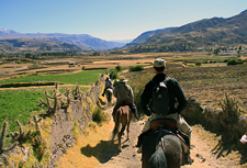 Peru-Arequipa-Colca Canyon Explorer Ride on Peruvian Pasos